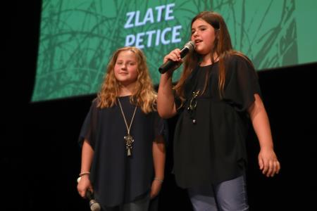 ZLATE PETICE 99zz01 FOTO LJUBO VUKELIČ